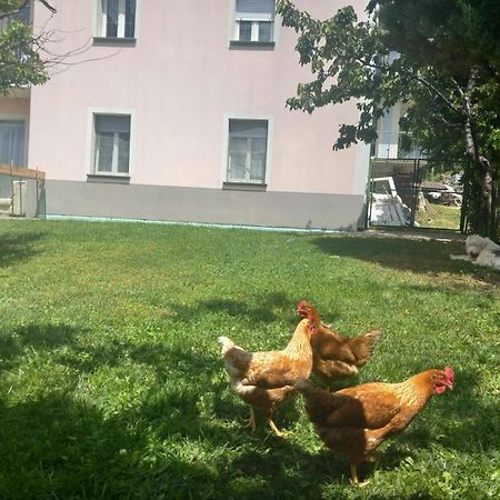 Casa Sergio Grosio Kültér fotó