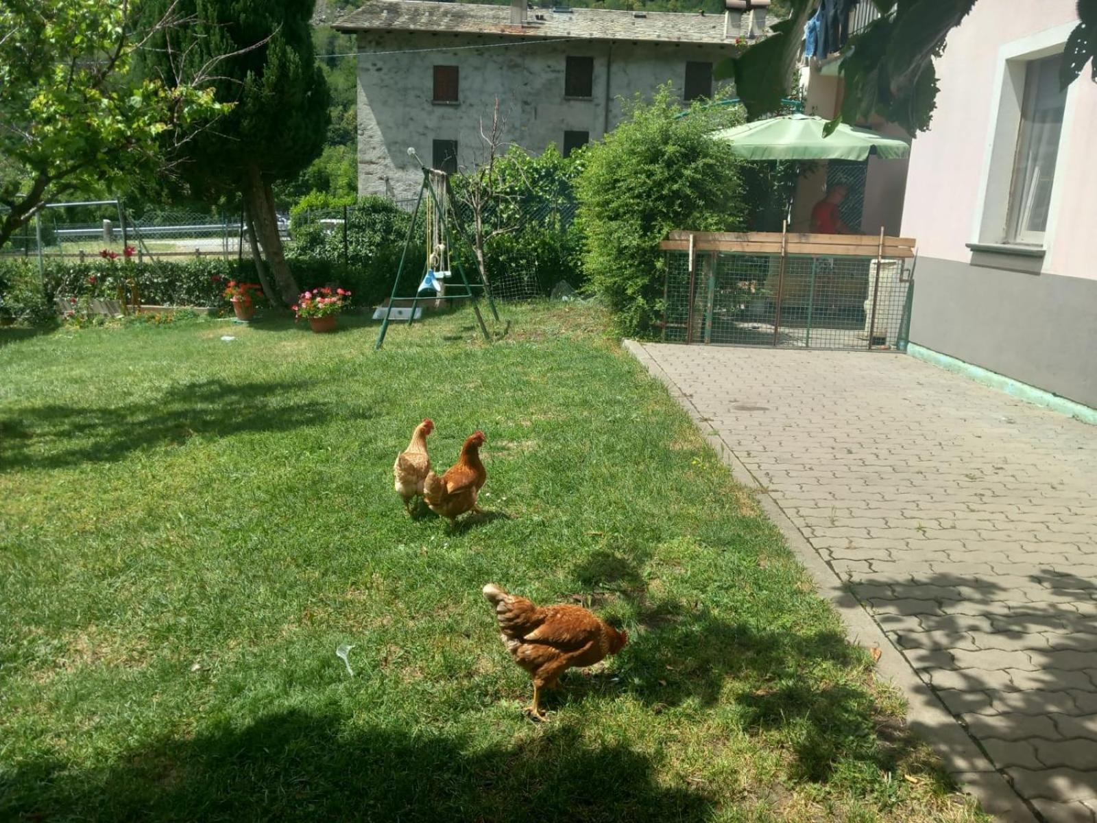 Casa Sergio Grosio Kültér fotó