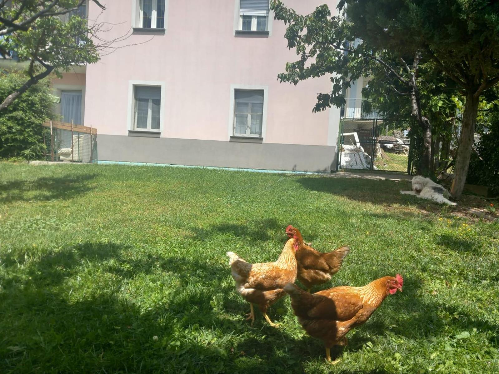 Casa Sergio Grosio Kültér fotó