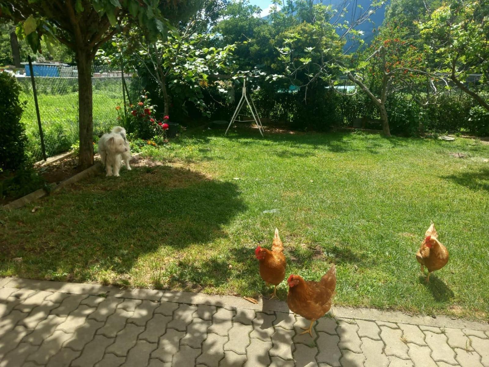 Casa Sergio Grosio Kültér fotó